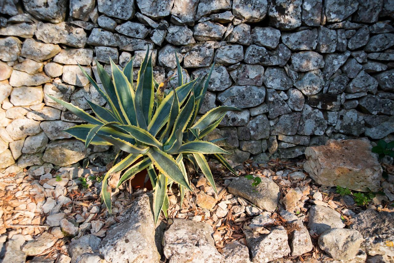 Giardino Segreto Panzió Putignano Kültér fotó