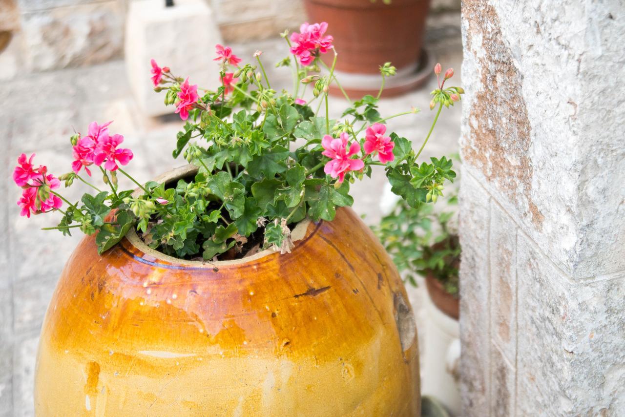 Giardino Segreto Panzió Putignano Kültér fotó