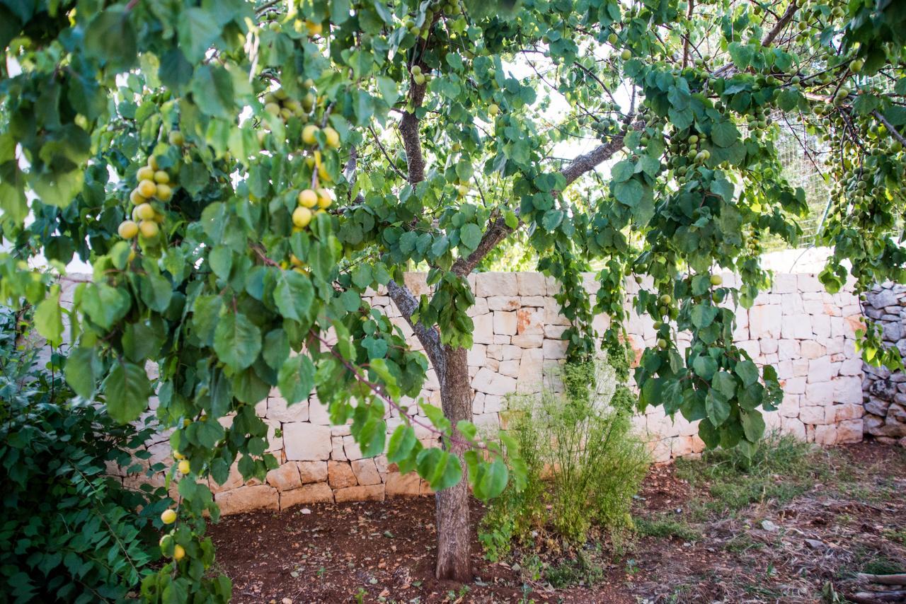 Giardino Segreto Panzió Putignano Kültér fotó